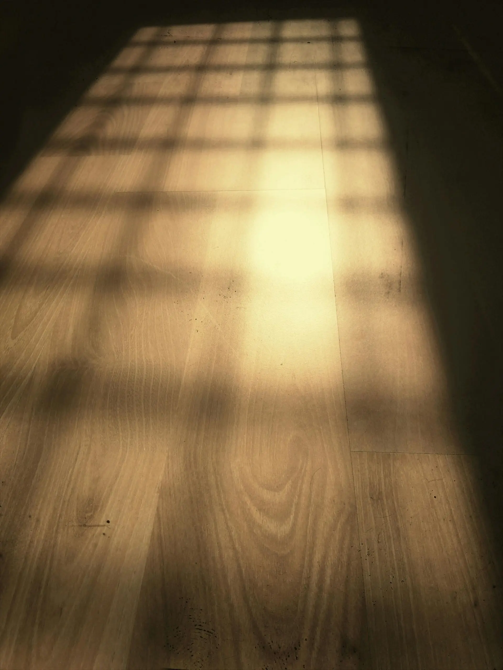 Flooring Installation in Salt Lake City, UT — Sticks & Stones Cabinets & Granite, Salt Lake City